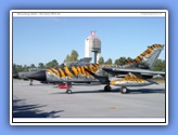 manching2002_407