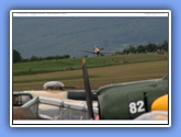 hahnweide2007_01