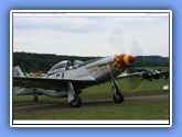 hahnweide2007_27