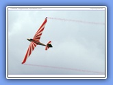 hahnweide2007_315