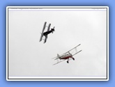 hahnweide2007_324