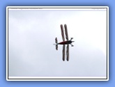 hahnweide2007_325