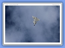 galerie_02_04_viggen