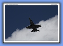 galerie_05_07_FA-18_FinlandAirForce